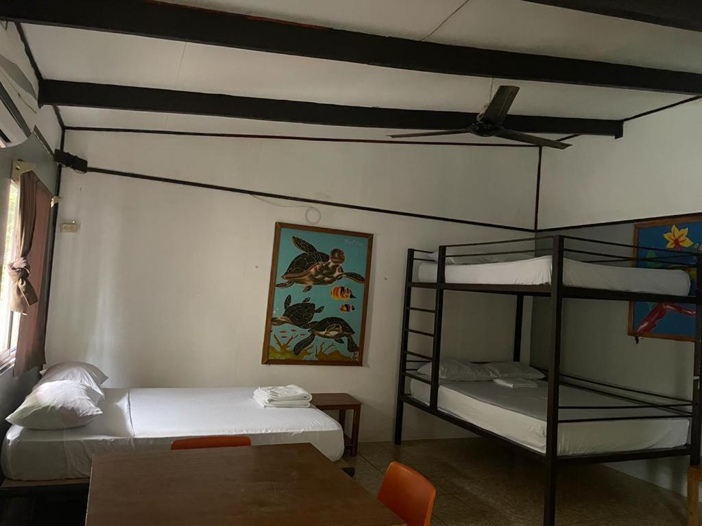 Be My Guest Cabinas Puerto Viejo de Talamanca Ngoại thất bức ảnh